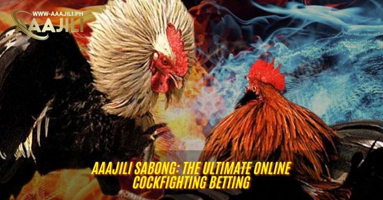 AAAJILI Sabong: The Ultimate Online Cockfighting Betting